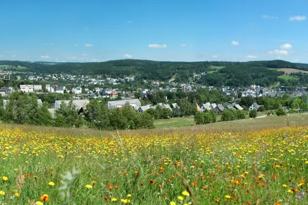 Aussichtspunkt Hainberg - Olbernhau