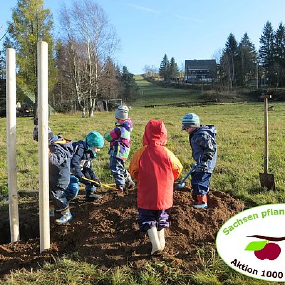 Initiative „Sachsen pflanzt gemeinsam Aktion 1000 Obstbäume“
